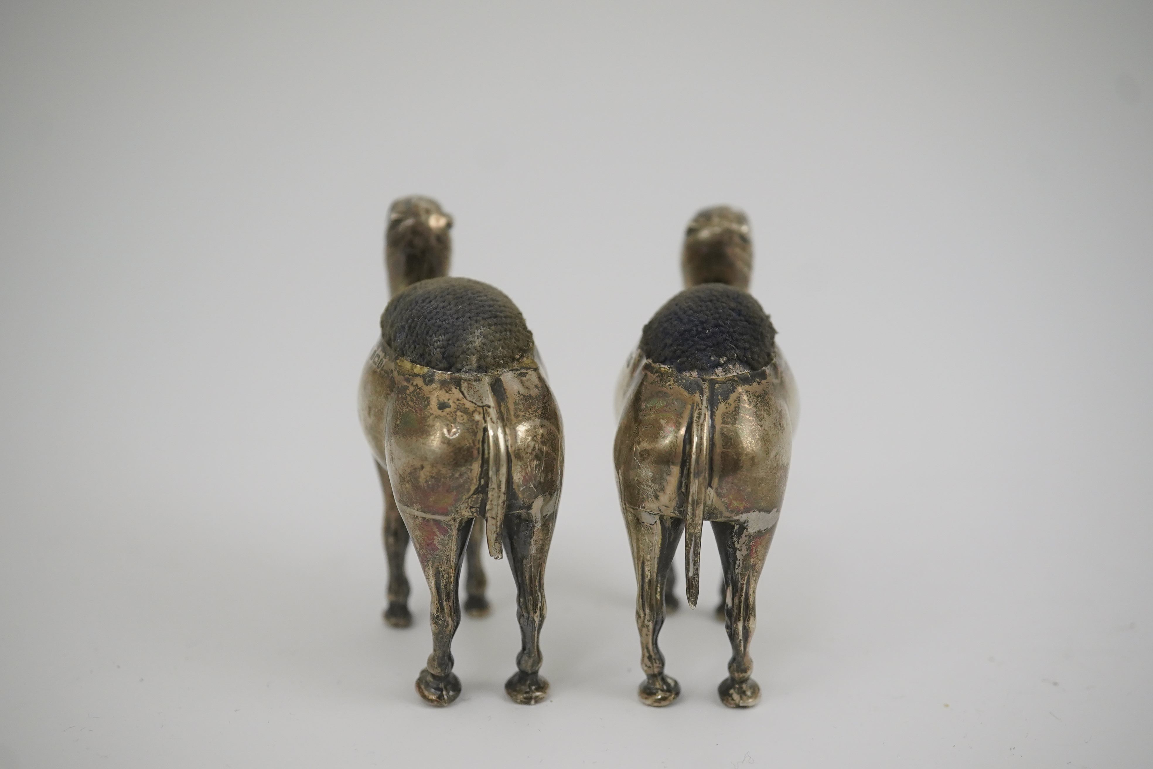 A pair of Edwardian novelty silver pin cushions, each modelled as a camel